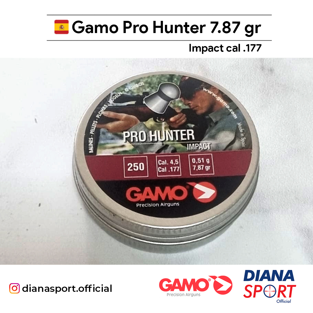 Gamo Pro Hunter 