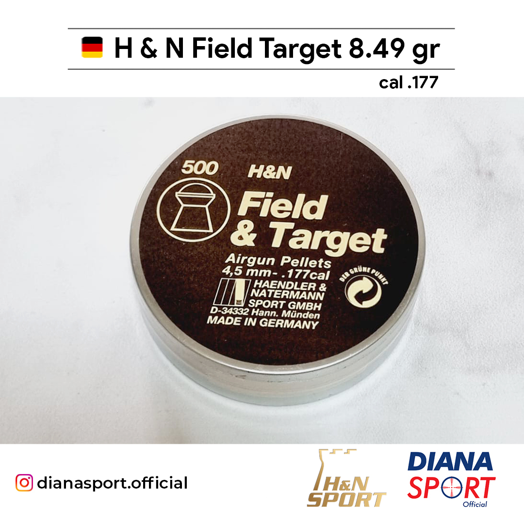 H & N Field Target 
